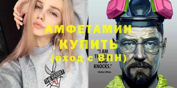 дурь Няндома