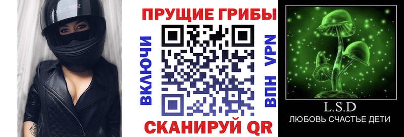 Псилоцибиновые грибы прущие грибы  Юрьев-Польский 